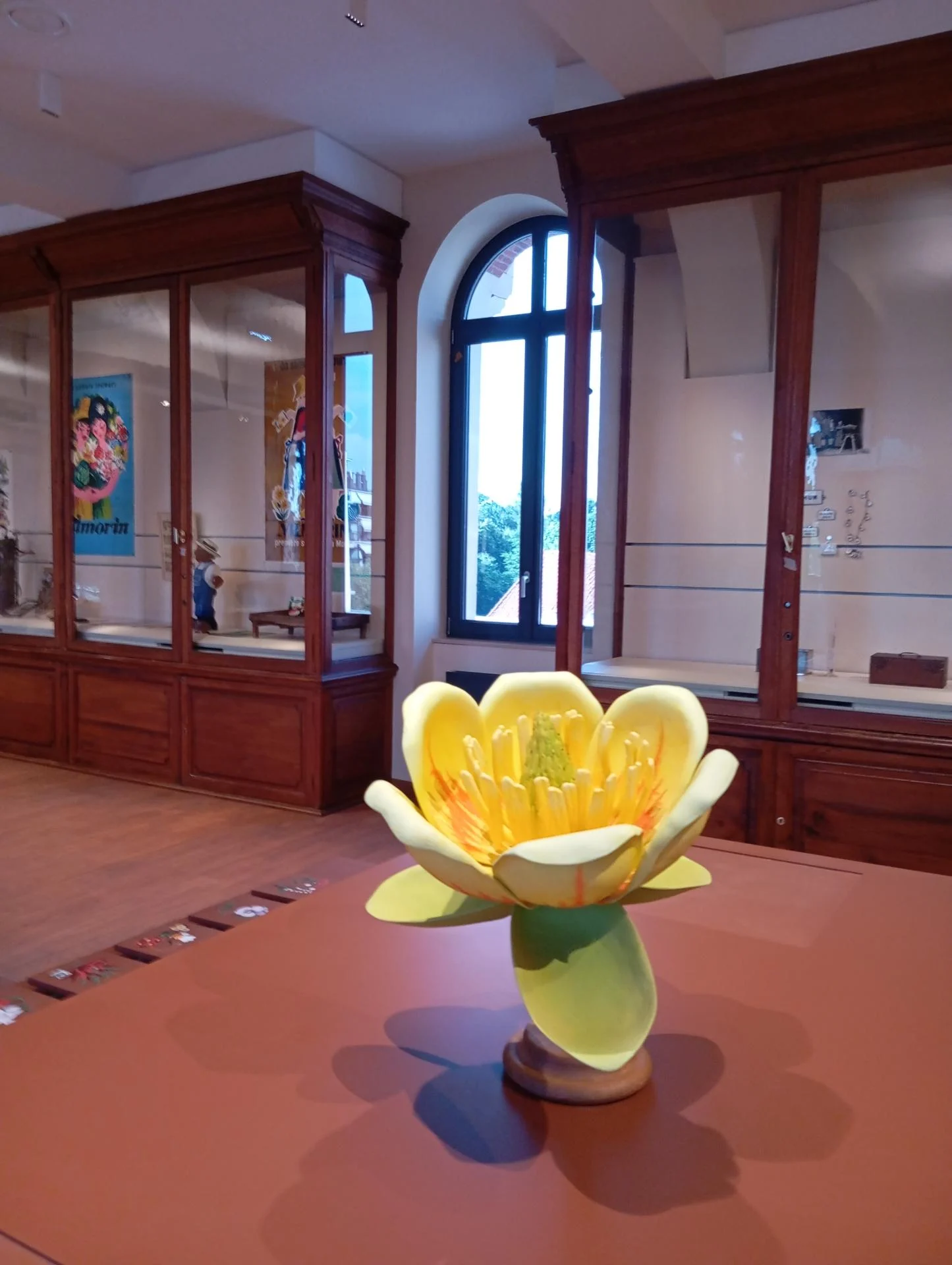 Musée végétal