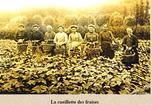 Capture d ecran 20230128 175652
